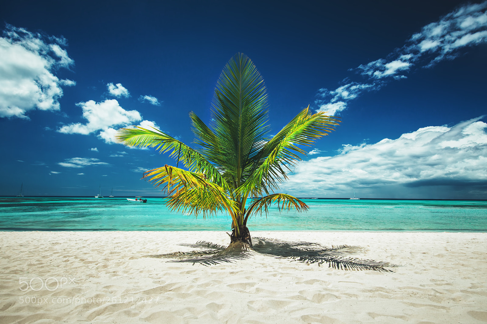 Canon EOS 5D Mark IV sample photo. Palmtree and tropical beach photography