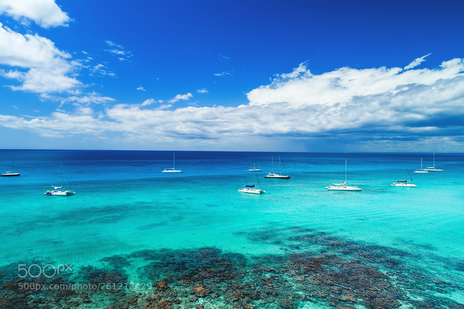 DJI FC6310 sample photo. Aerial view of tropical photography