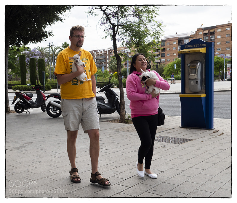 Olympus OM-D E-M1 Mark II sample photo. . photography