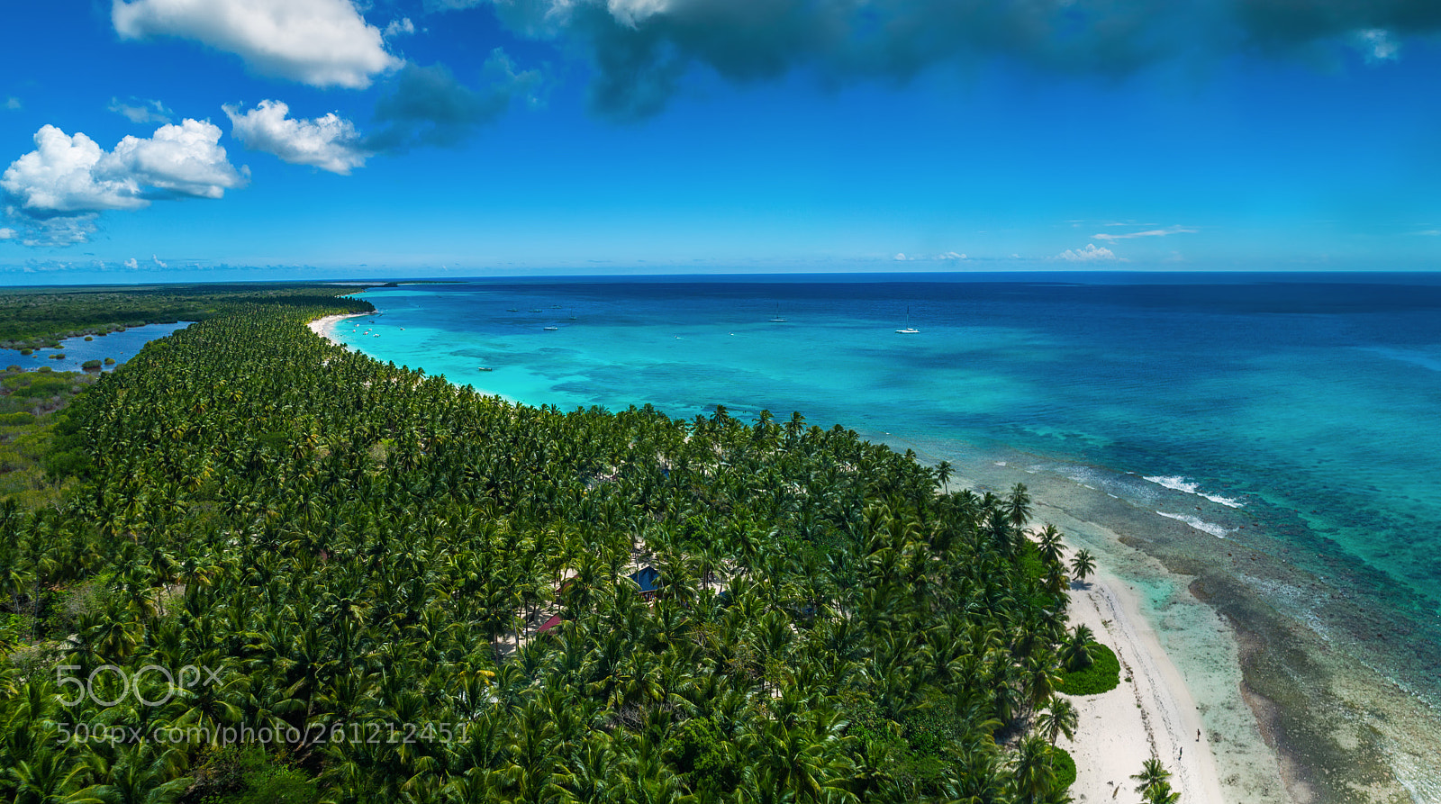 DJI FC6310 sample photo. Aerial view of tropical photography
