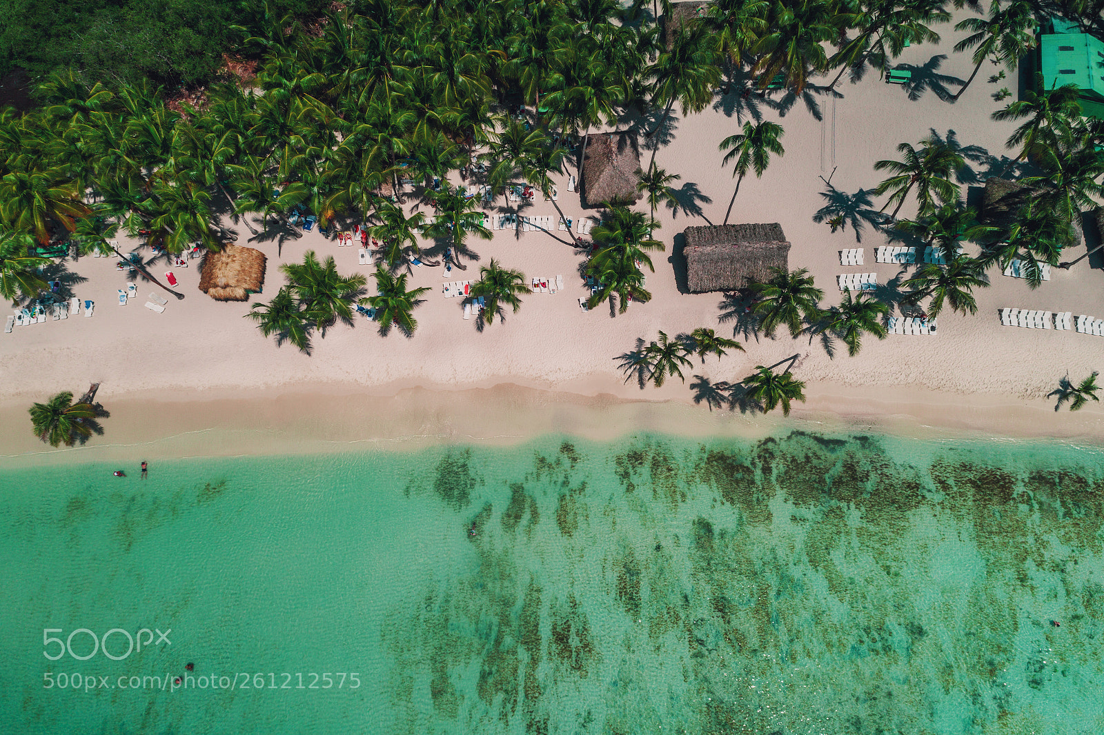 DJI FC6310 sample photo. Aerial view of tropical photography