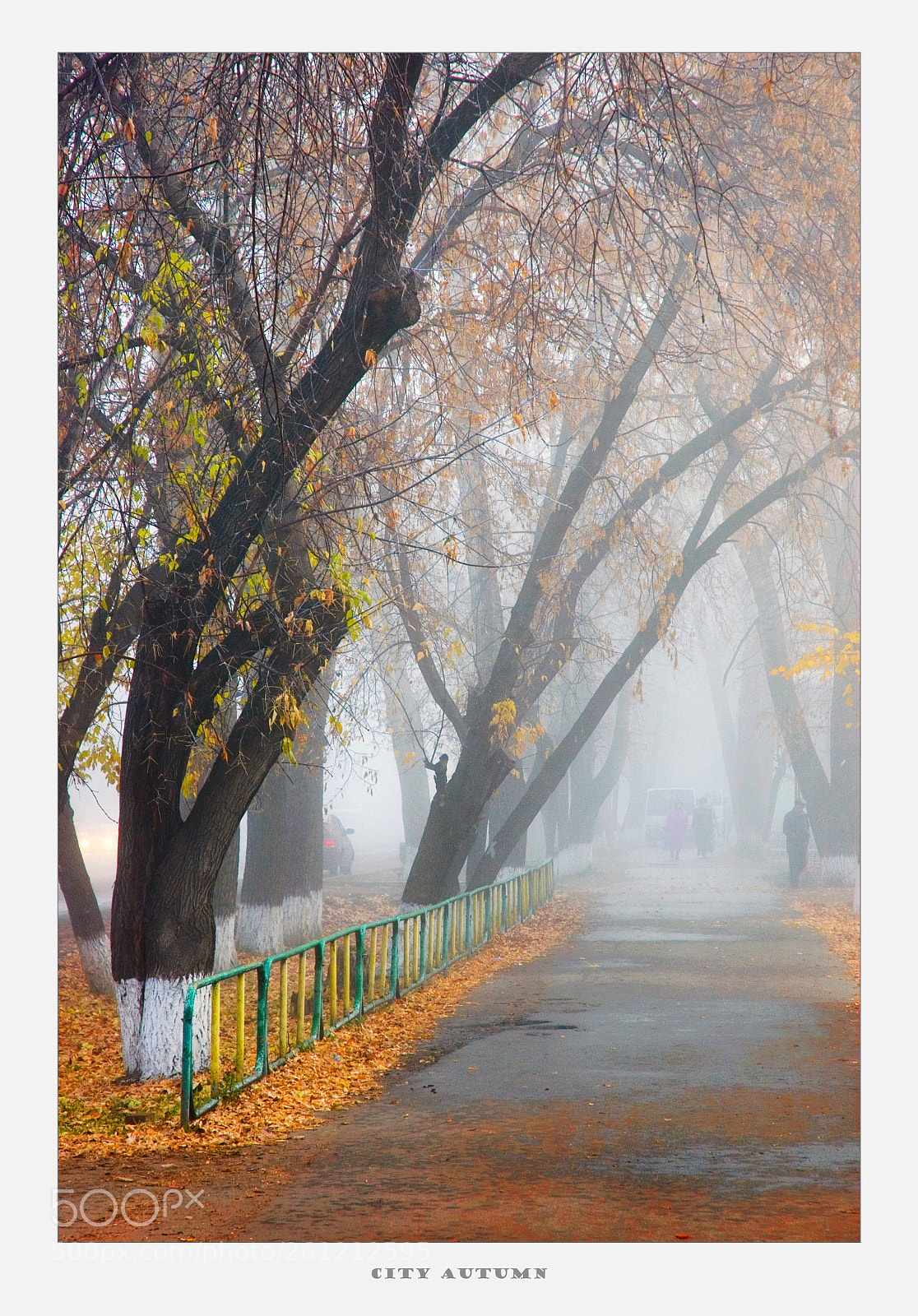 Nikon D70 sample photo. City autumn photography