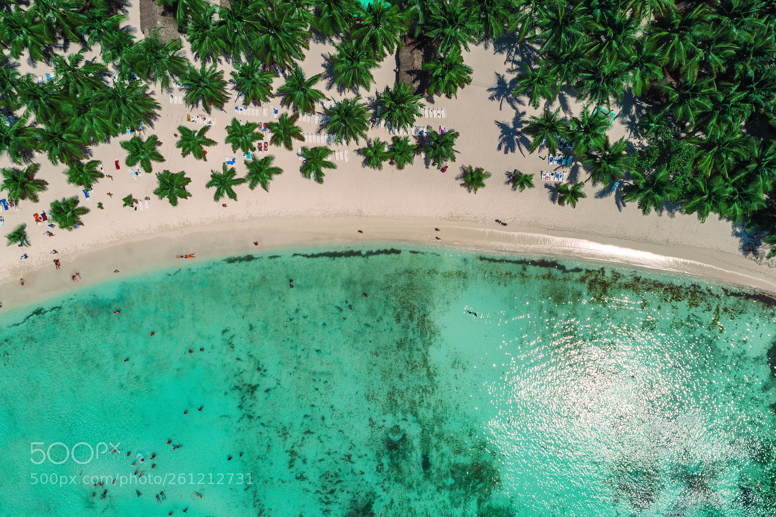 DJI FC6310 sample photo. Aerial view of tropical photography