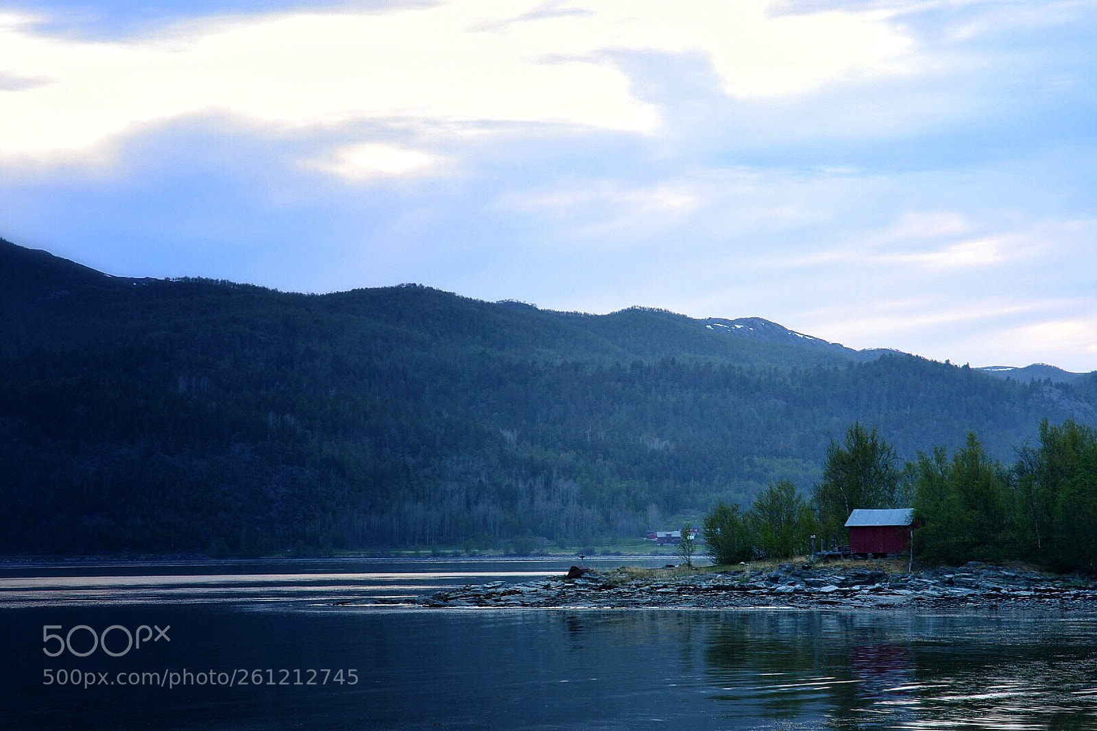 Nikon D7200 sample photo. Untitled photography