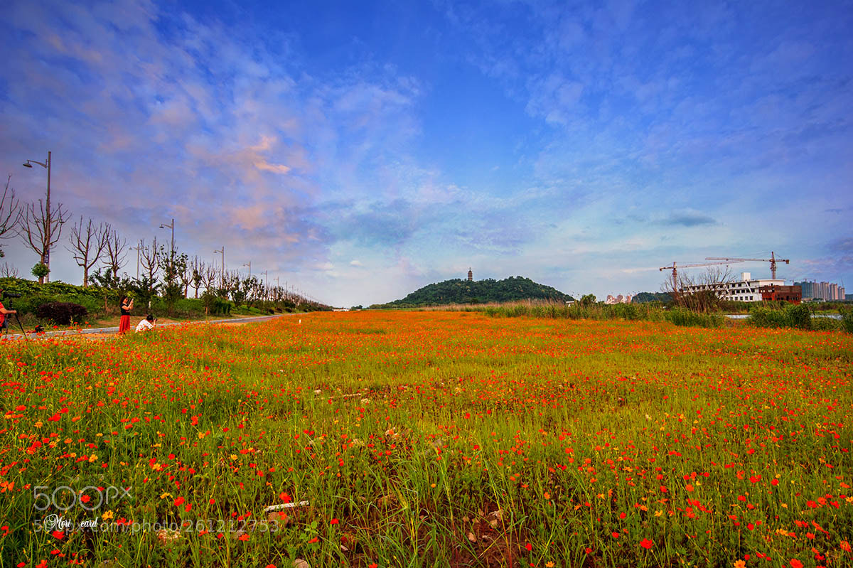 Nikon D750 sample photo. 26.jpg photography