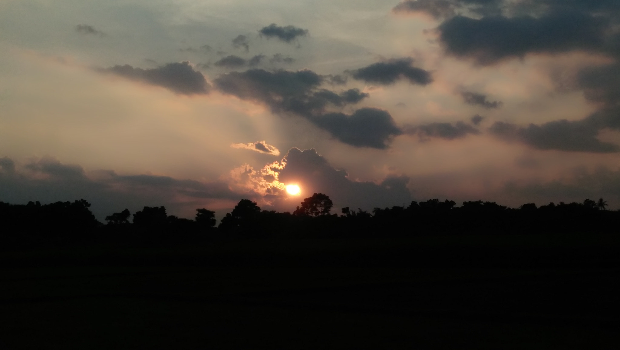 OPPO A37fw-International sample photo