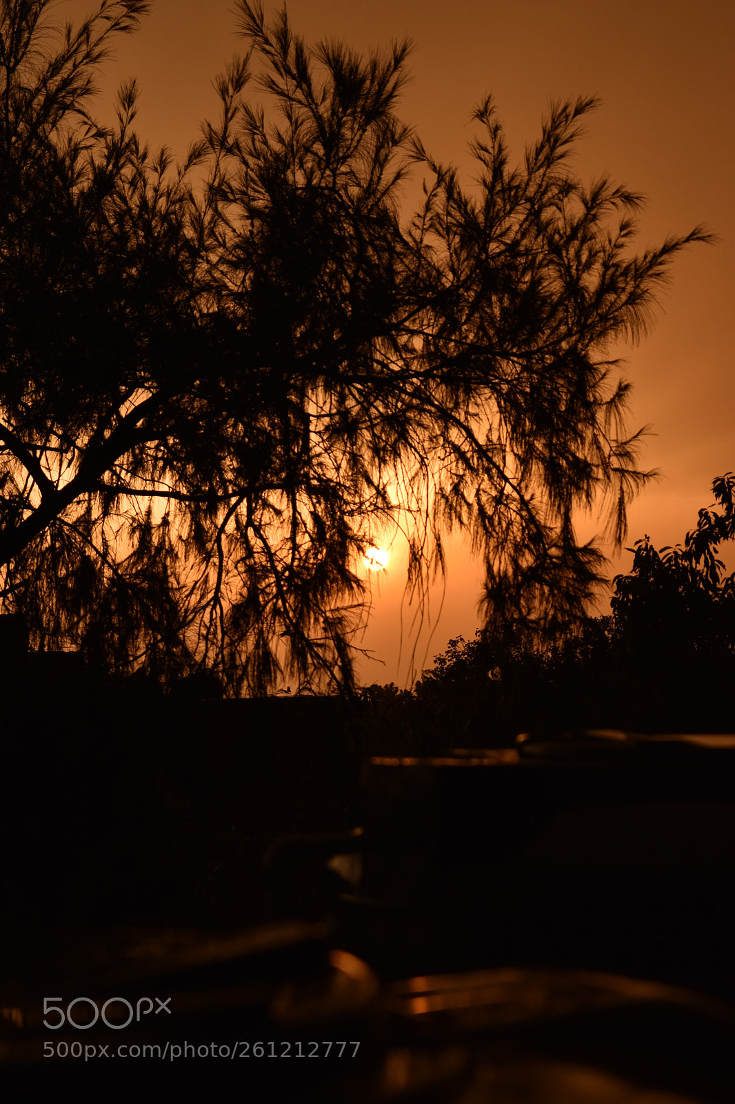 Nikon D5600 sample photo. Untitled photography