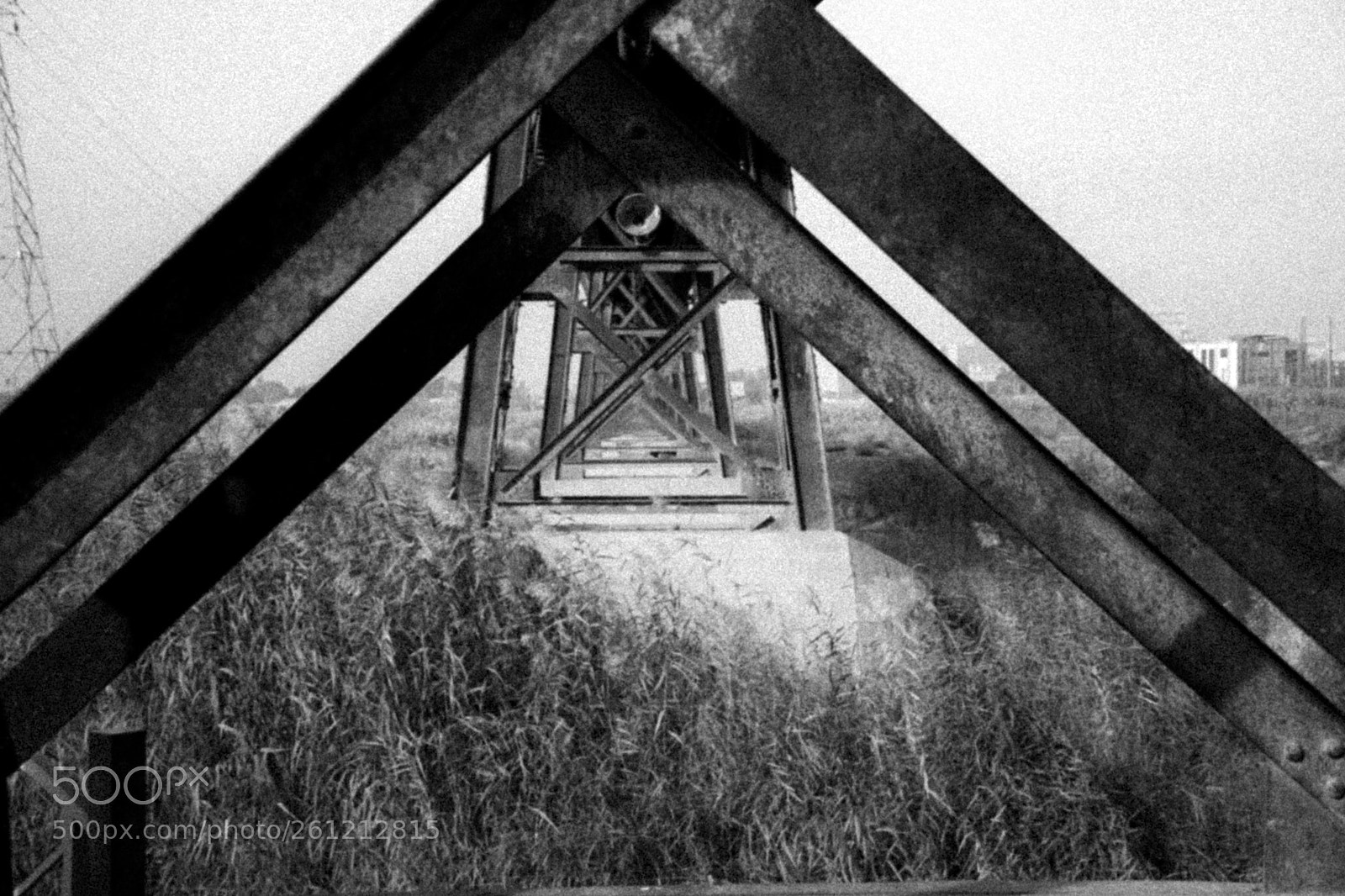 Nikon D5600 sample photo. Black bridge photography