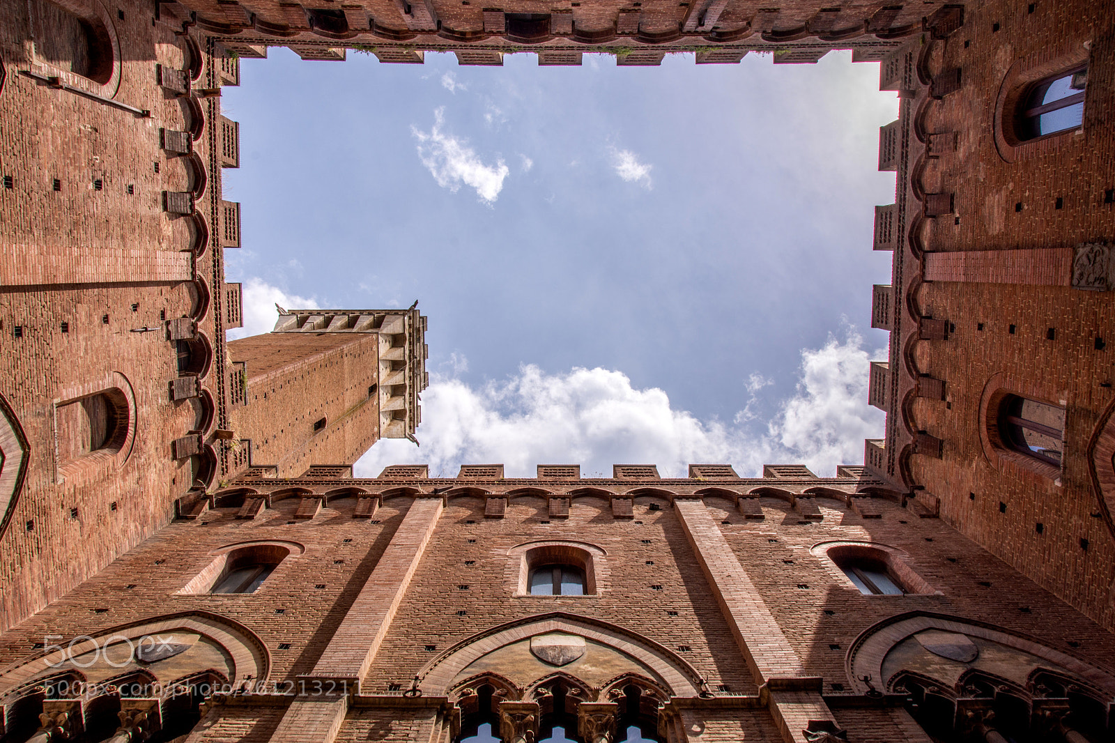 Nikon D7200 sample photo. Look up photography