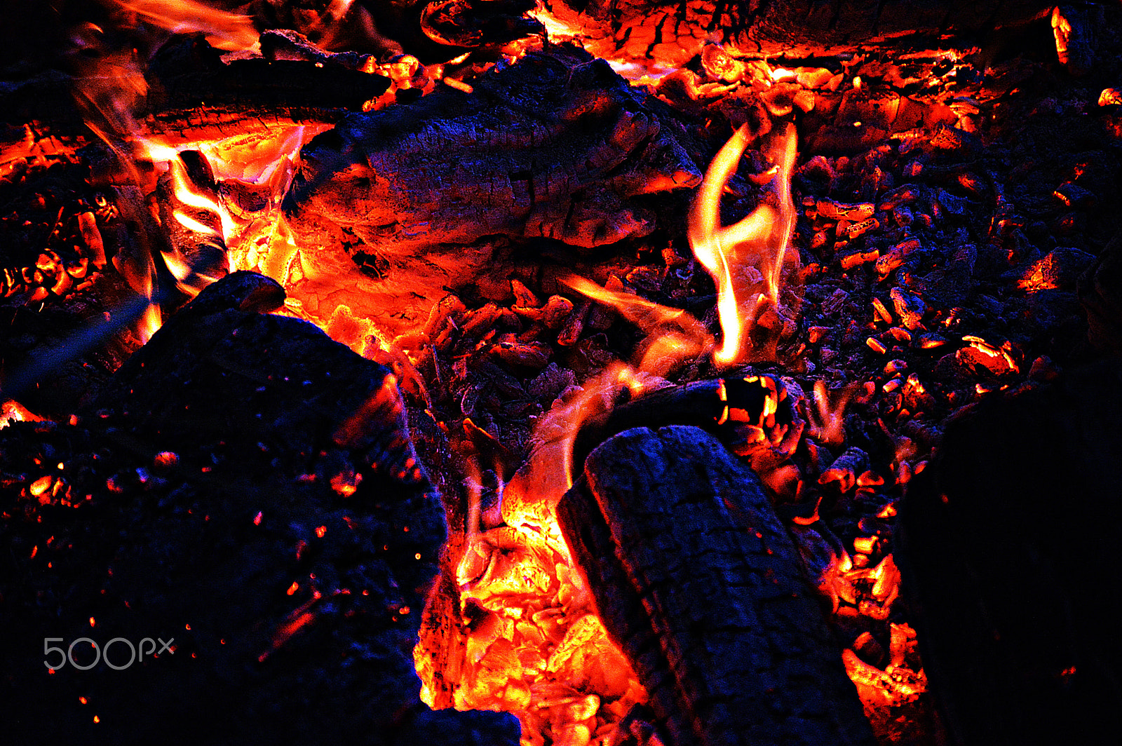 Nikon D3200 sample photo. Staying hot photography