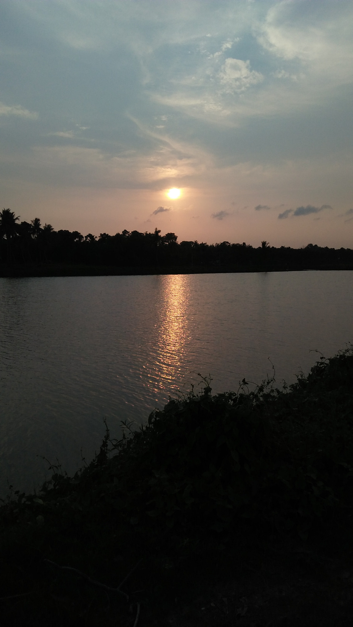 OPPO A37fw-International sample photo