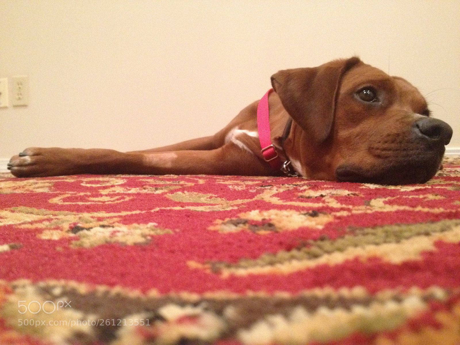 Apple iPhone 4S sample photo. Edison photography