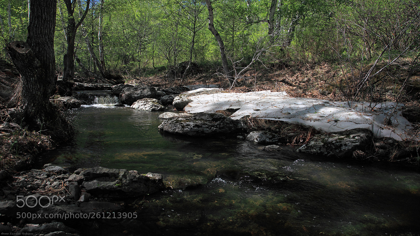 Canon EOS 5D Mark II sample photo. Forest sream photography