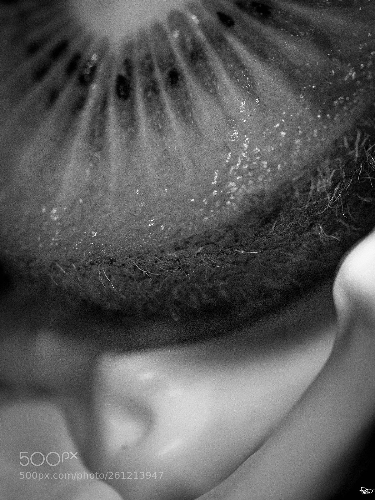 Olympus OM-D E-M10 sample photo. In a small world... photography