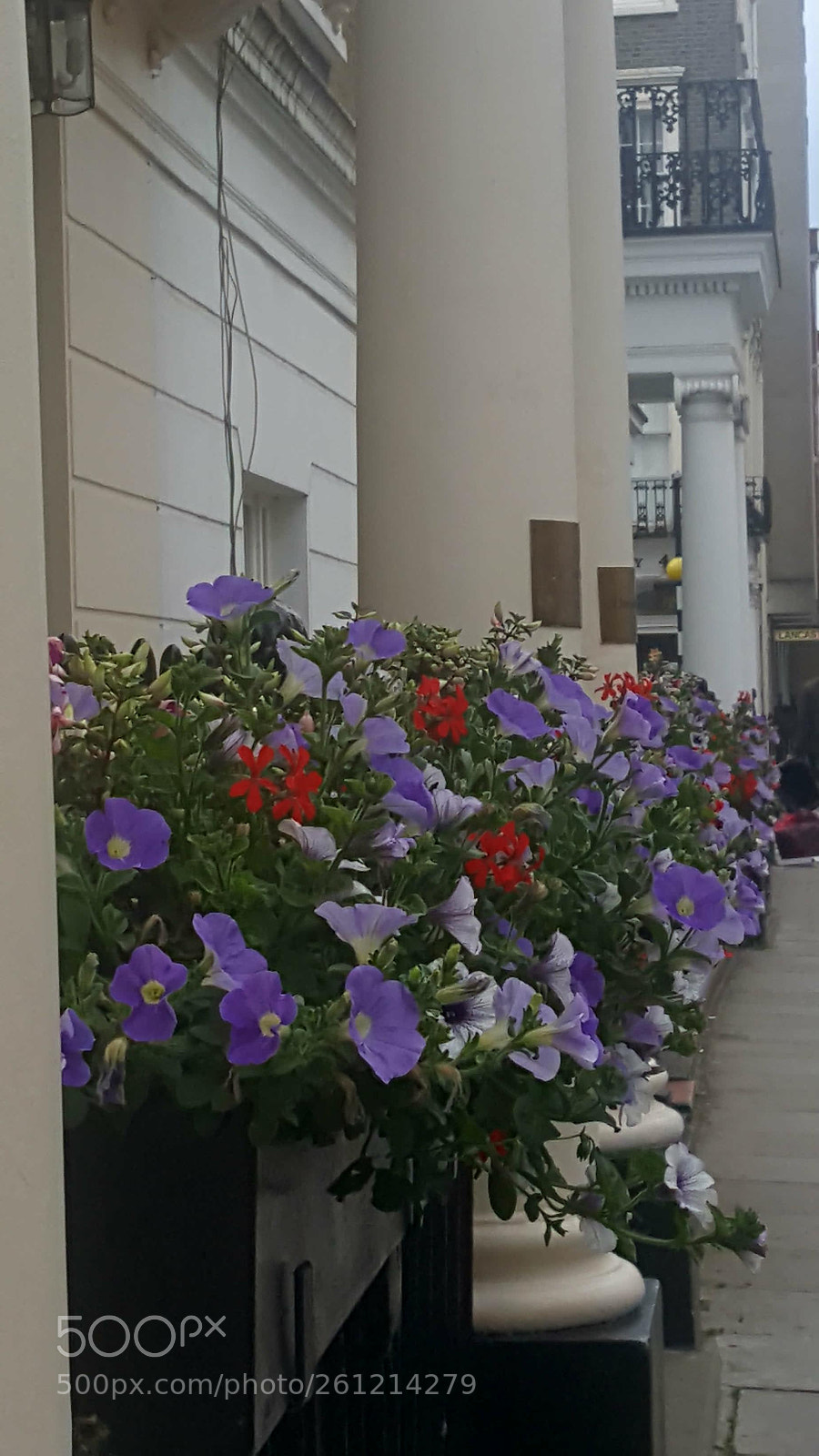 Samsung Galaxy S6 sample photo. Pretty window boxes photography