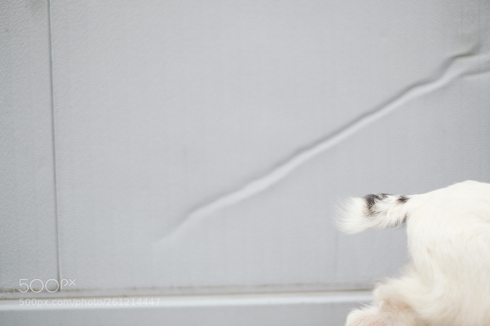 Fujifilm X-Pro2 sample photo. Untitled photography