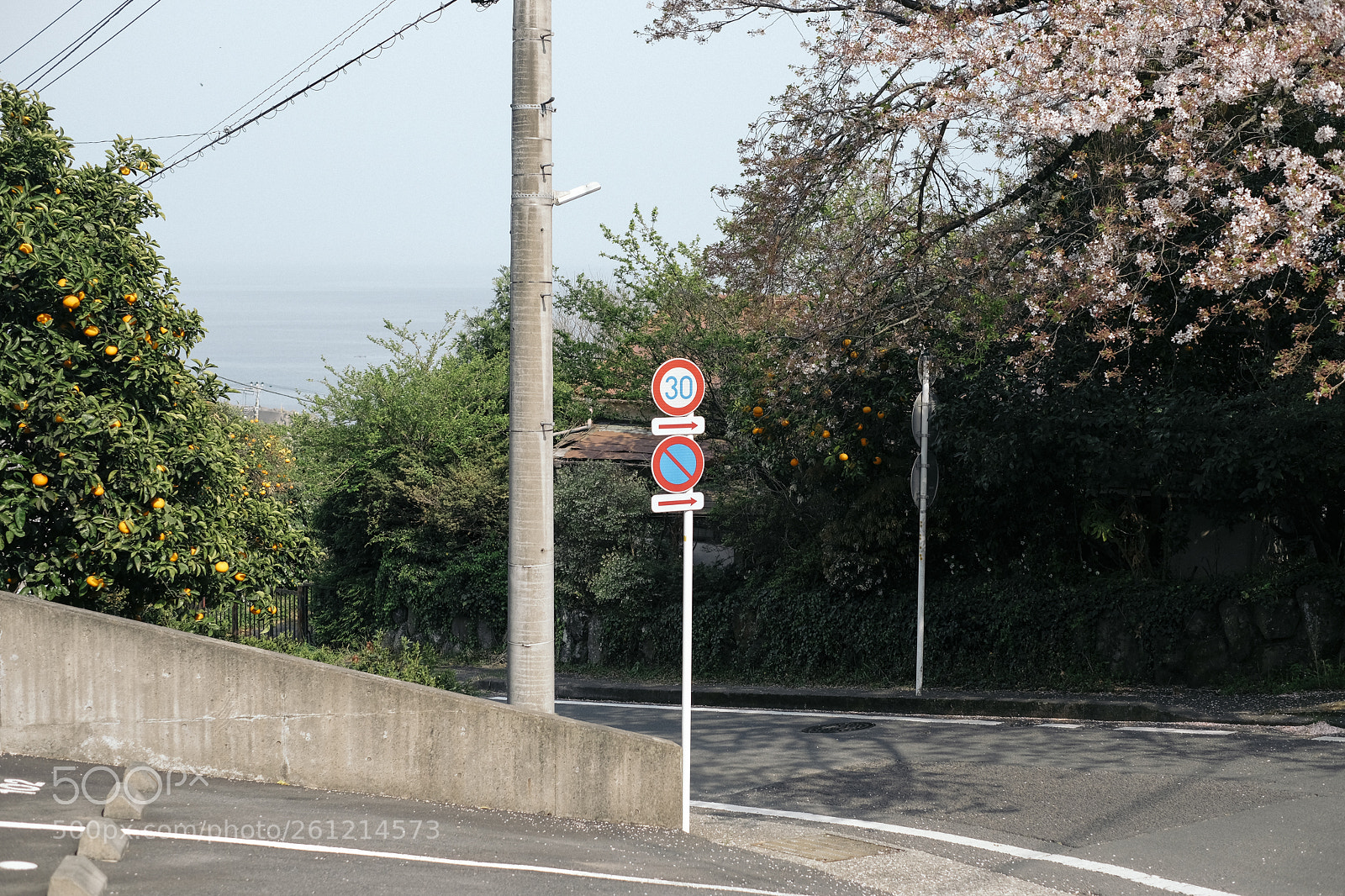 Fujifilm X-Pro2 sample photo. Untitled photography
