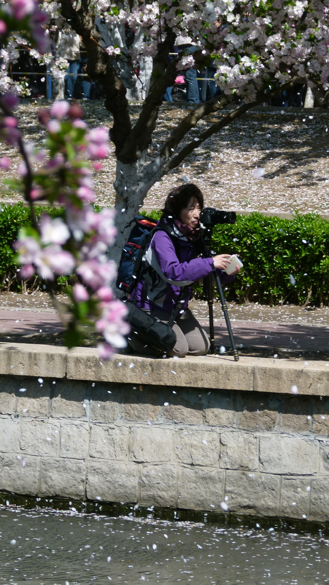 Leica V-Lux 2 sample photo