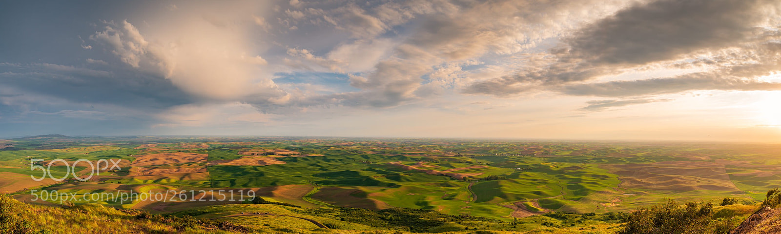 Nikon D800 sample photo. Wheat field photography