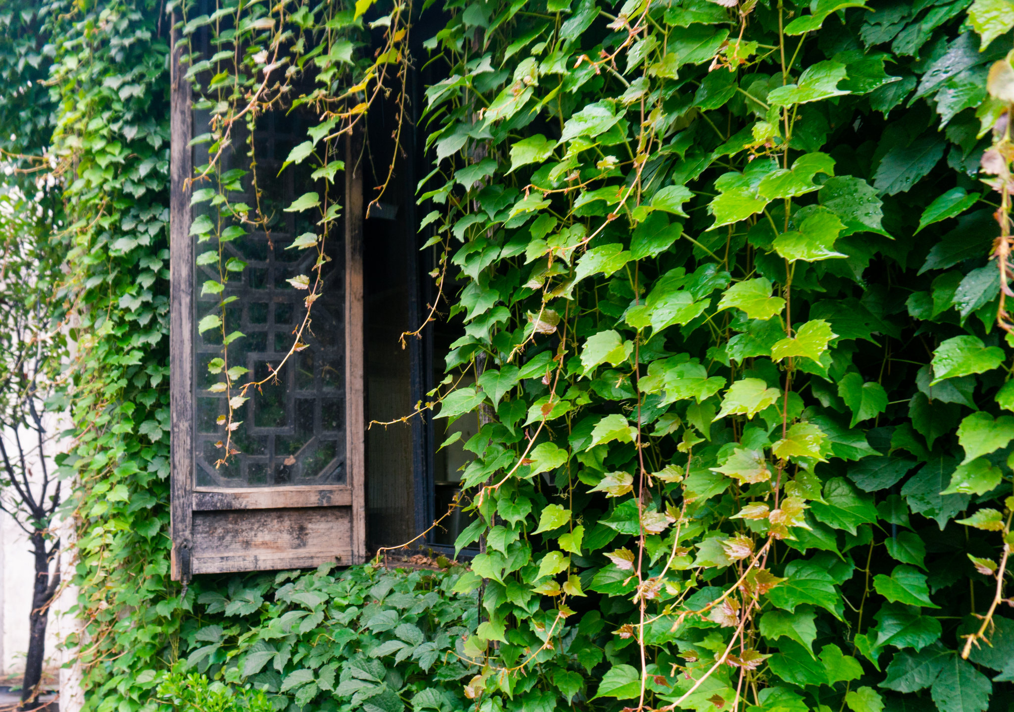 v2?sig=8c9756821cd7d53b6b1634f1dbaadf1cbb560bd54f331c03f62887efdf2511b3