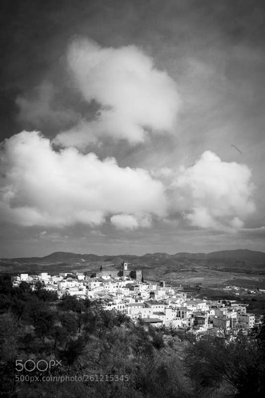 Canon EOS 5D Mark II sample photo. Untitled photography