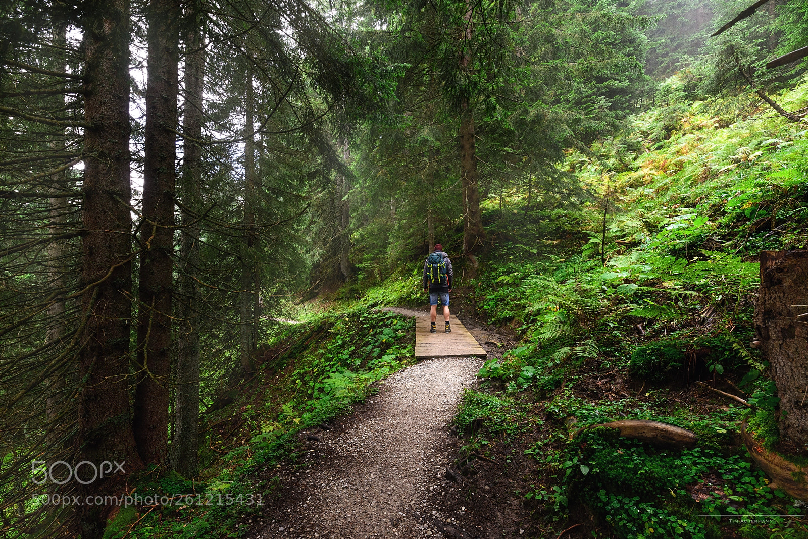 Nikon D610 sample photo. Foggy hike -austria photography