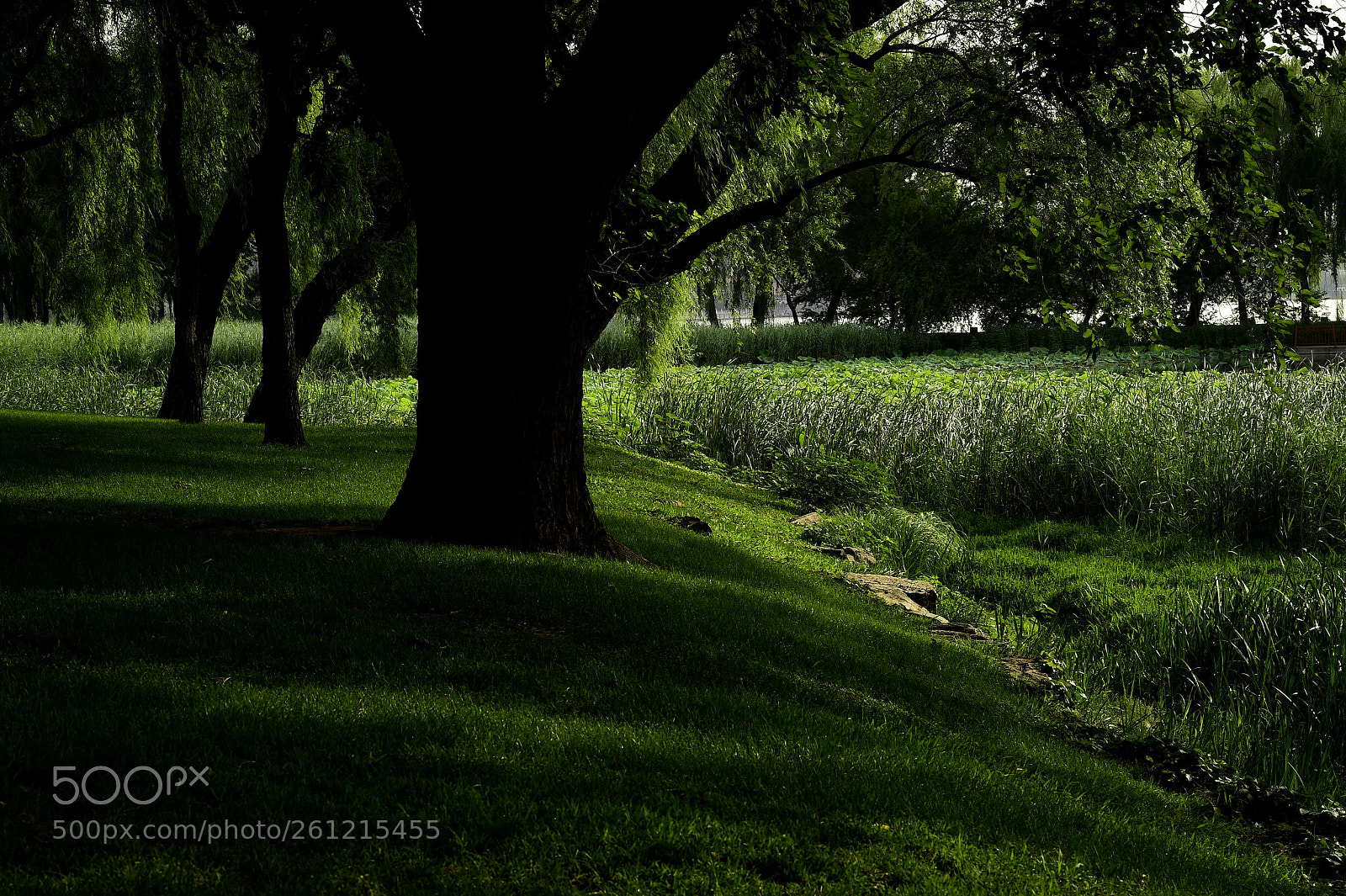 Nikon D4S sample photo. Untitled photography