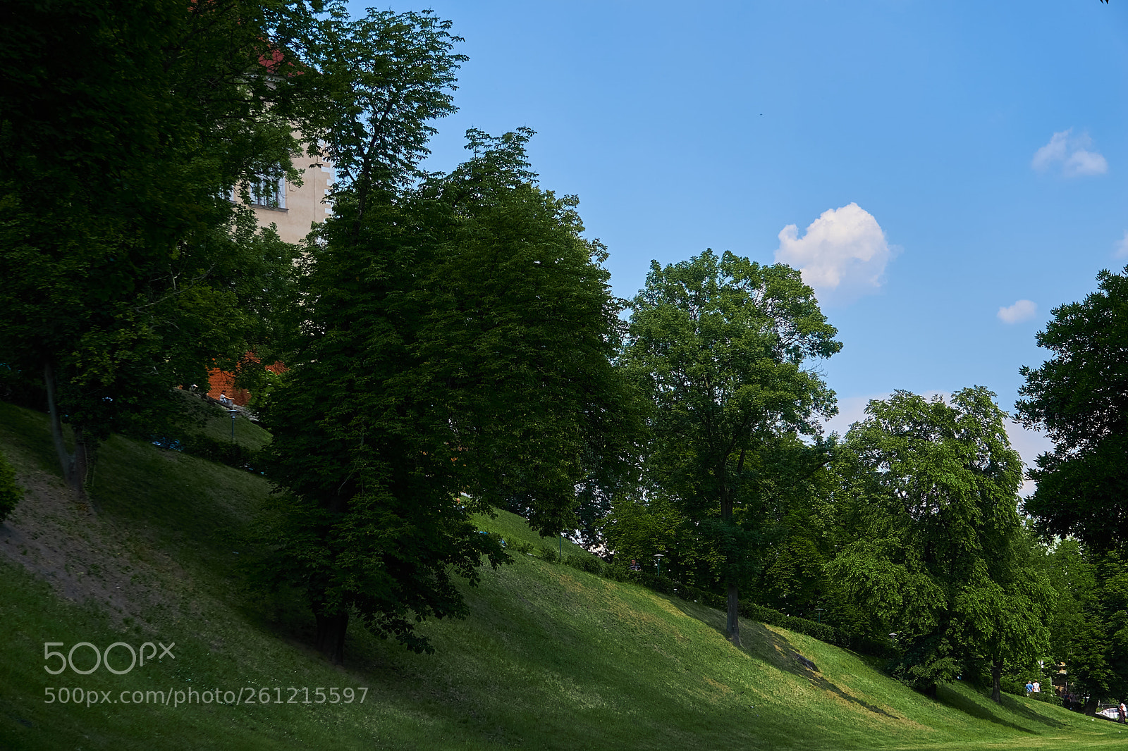 Sony a6000 sample photo. Kraków photography