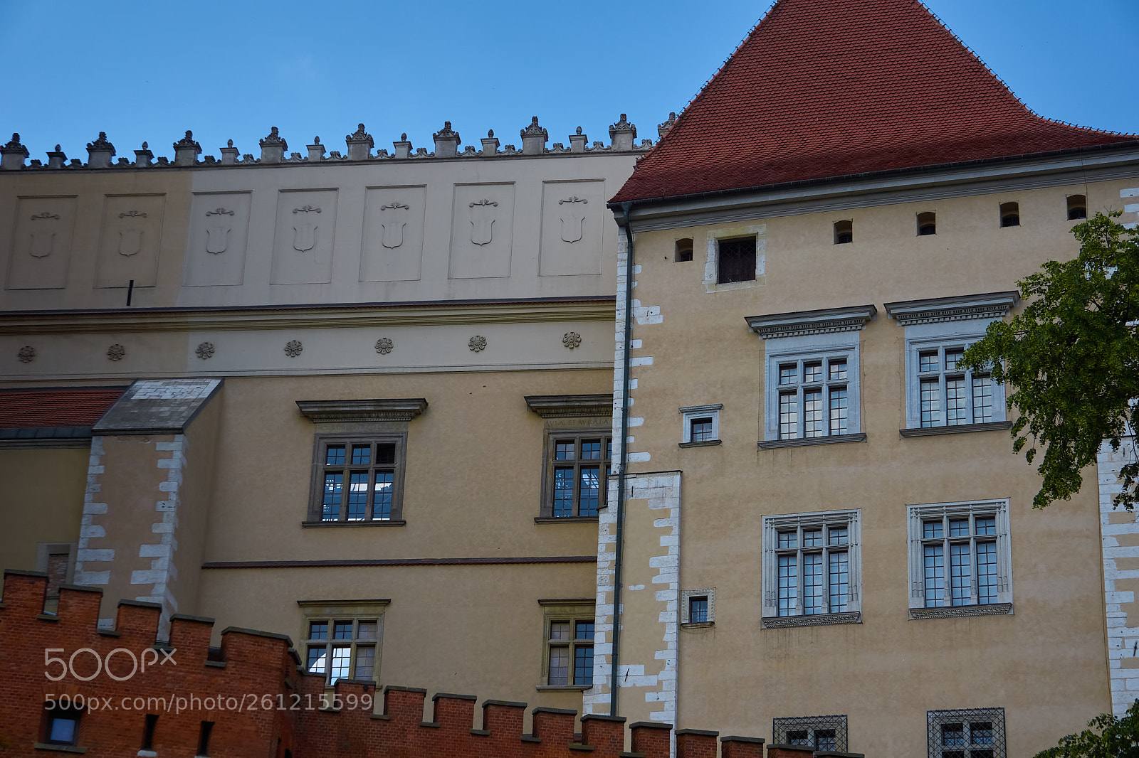 Sony a6000 sample photo. Zamek kr lewski na photography
