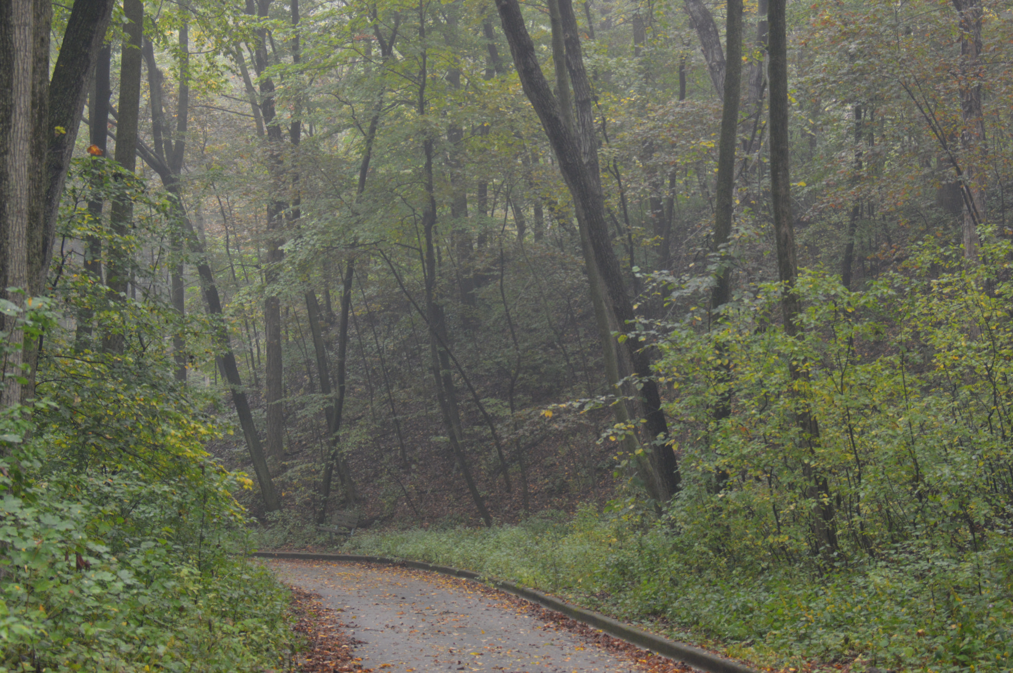 Nikon D3200 sample photo. Doctors lake forest photography