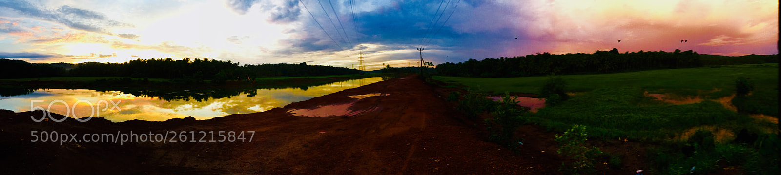 Apple iPhone 6 sample photo. Untitled photography