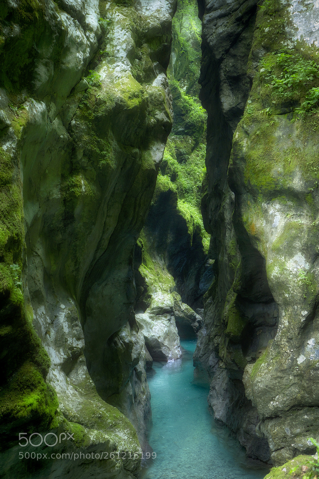 Canon EOS-1D X sample photo. Tolminer klamm photography