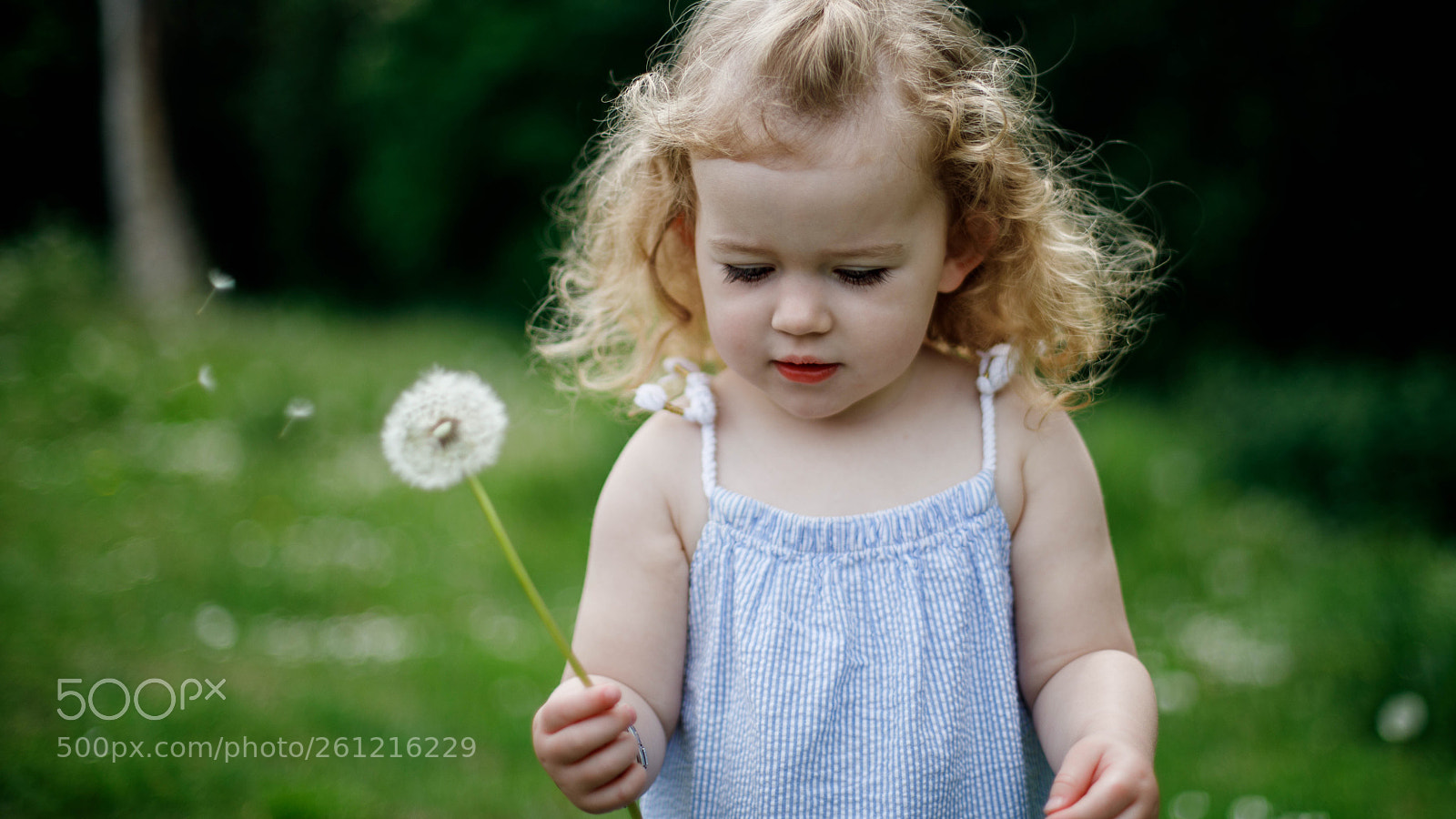 Canon EOS 5D Mark IV sample photo. Make a wish photography