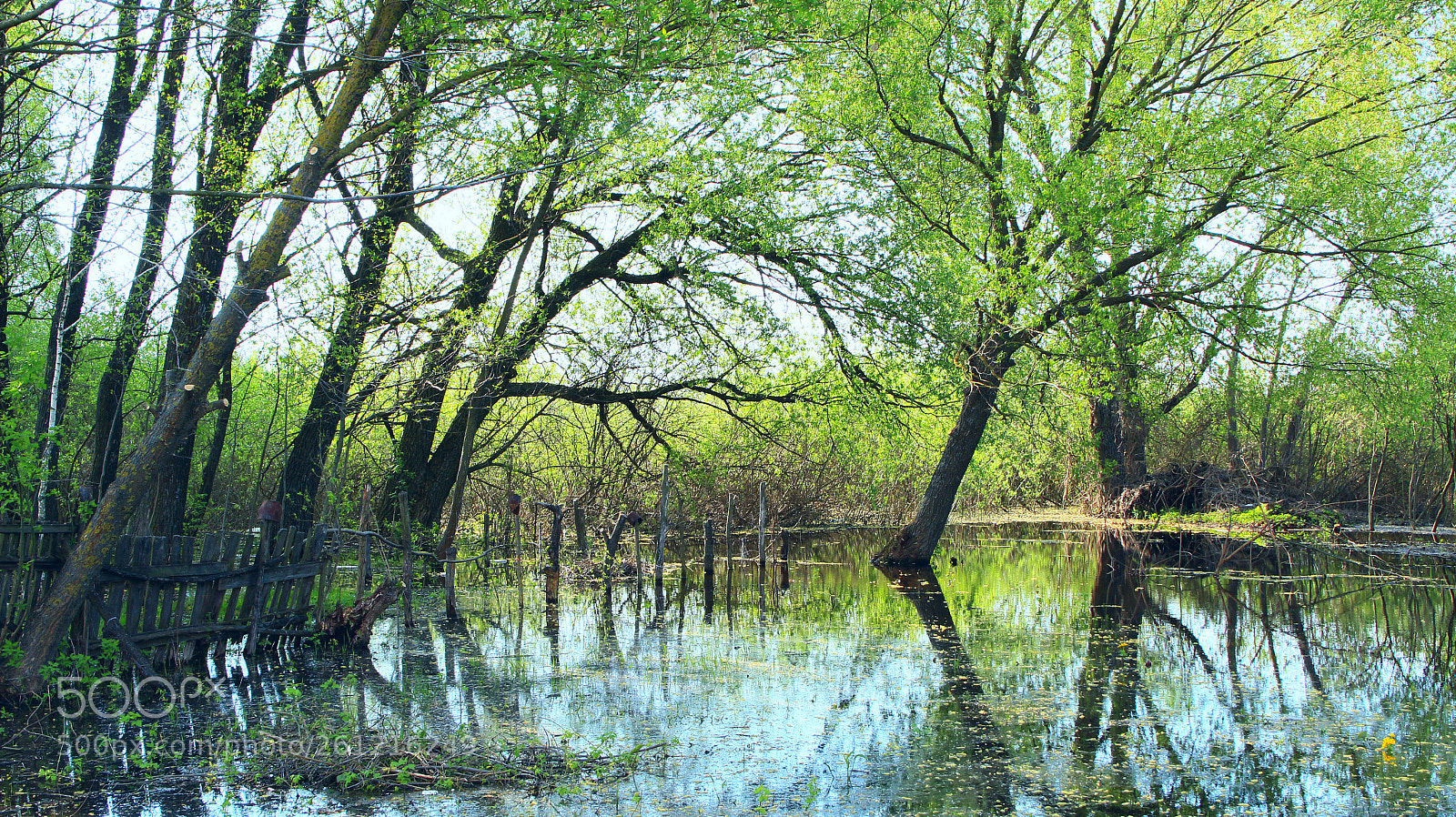 Canon EOS 600D (Rebel EOS T3i / EOS Kiss X5) sample photo. Landscape with flooding in photography