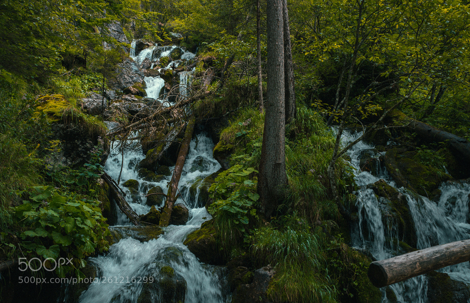 Canon EOS 600D (Rebel EOS T3i / EOS Kiss X5) sample photo. Waterfalls between the trees photography