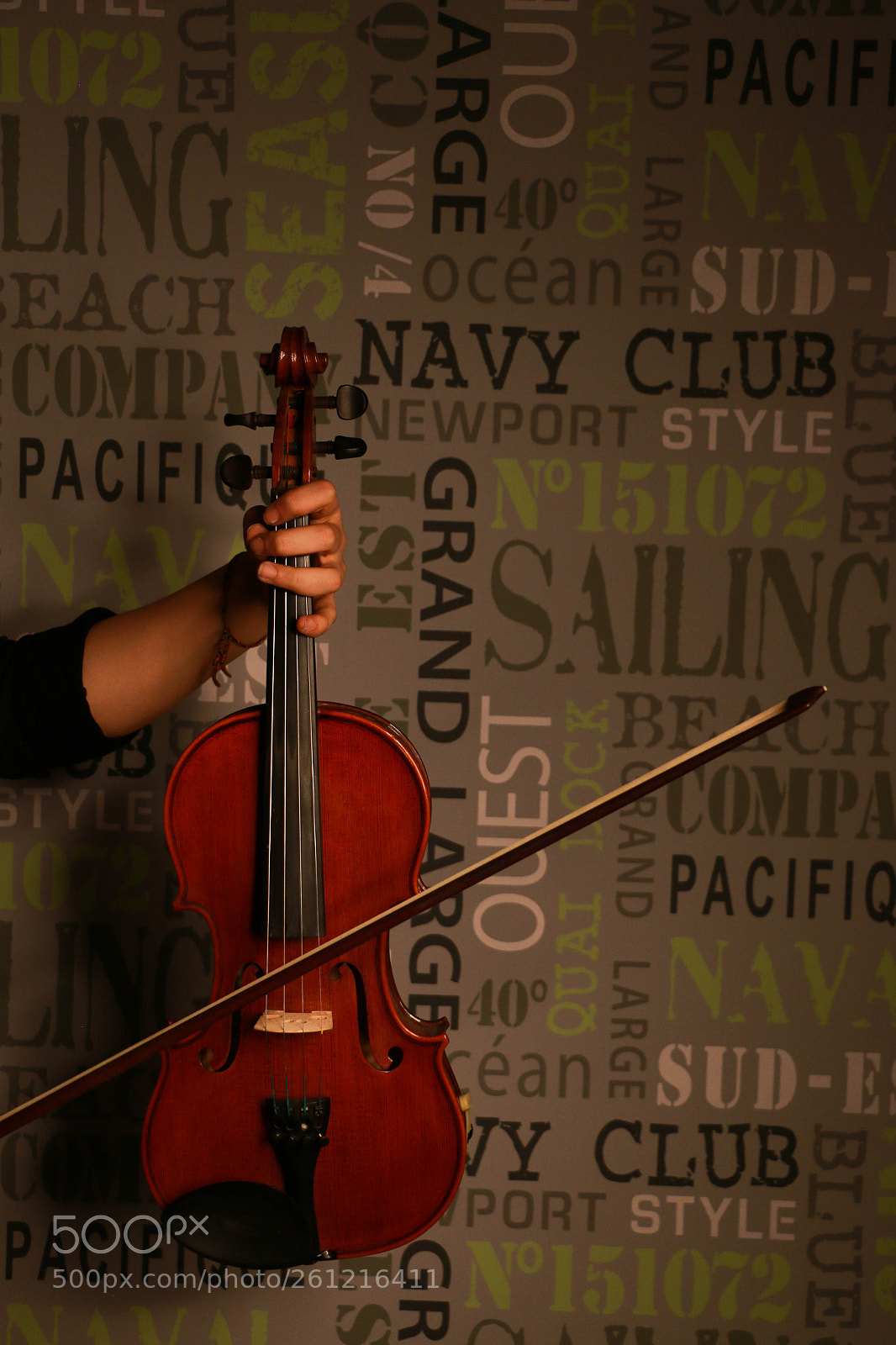 Canon EOS 70D sample photo. Violin in hilan art photography