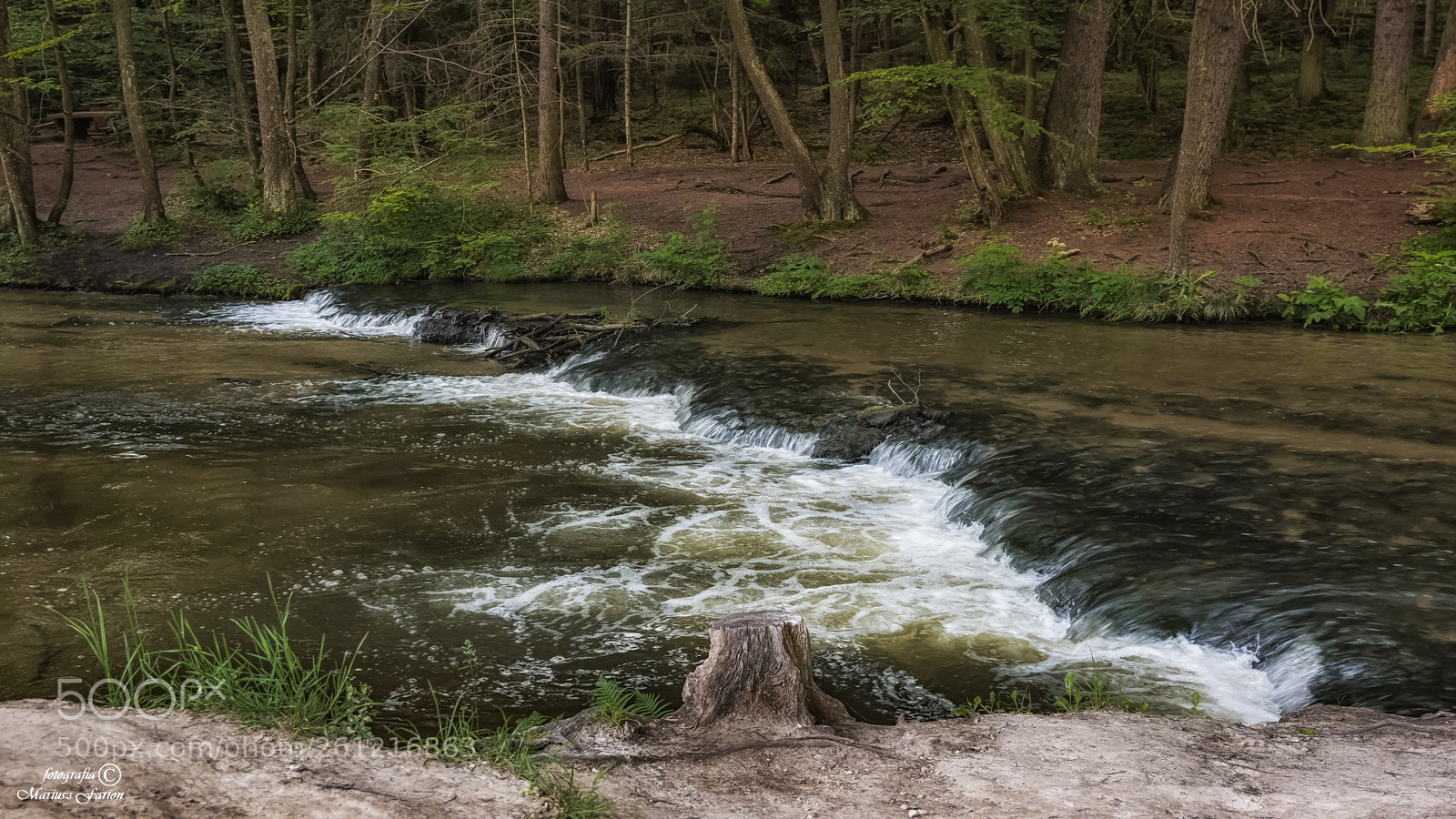 Nikon D7200 sample photo. Leśne rzeki photography