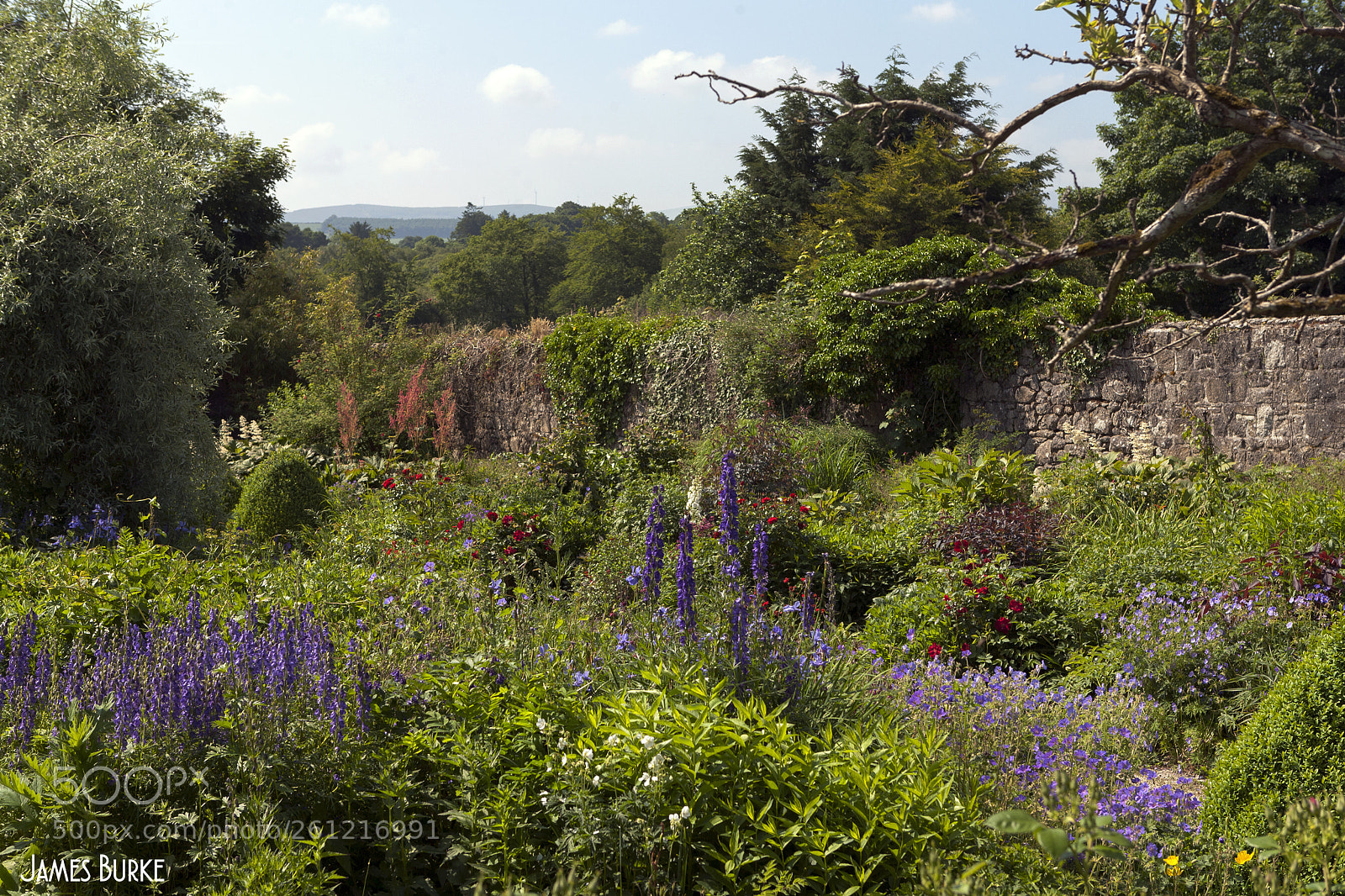 Canon EOS 5D sample photo. Walled garden photography