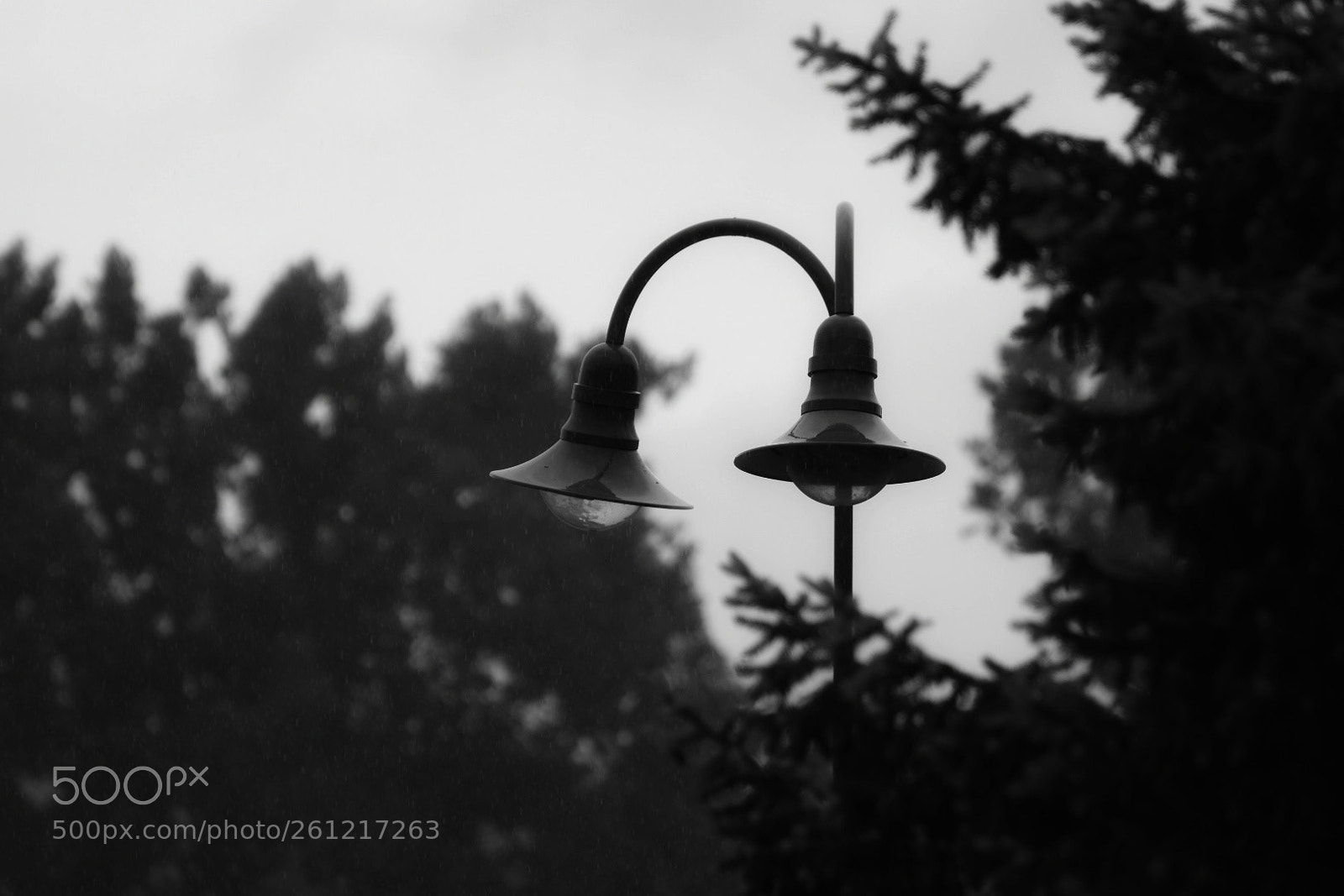 Nikon D5600 sample photo. Untitled photography