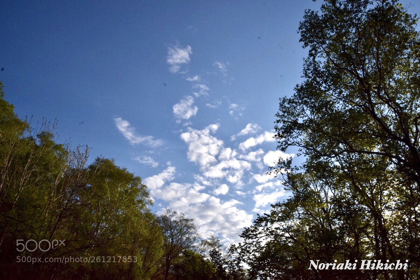 Nikon D5300 sample photo. Untitled photography