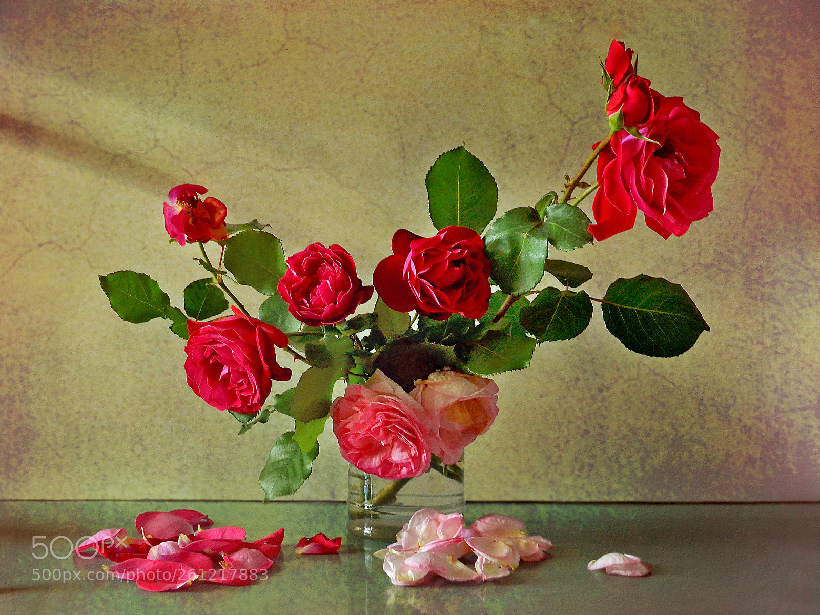 Nikon D5100 sample photo. Red roses photography