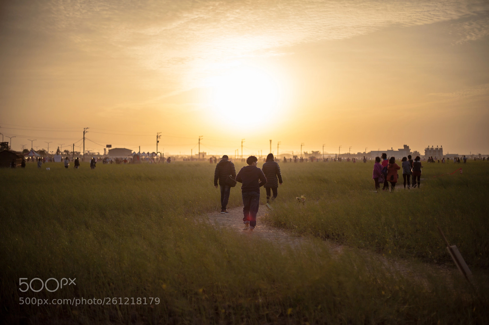 Canon EOS 5D Mark II sample photo. Golden moment. photography