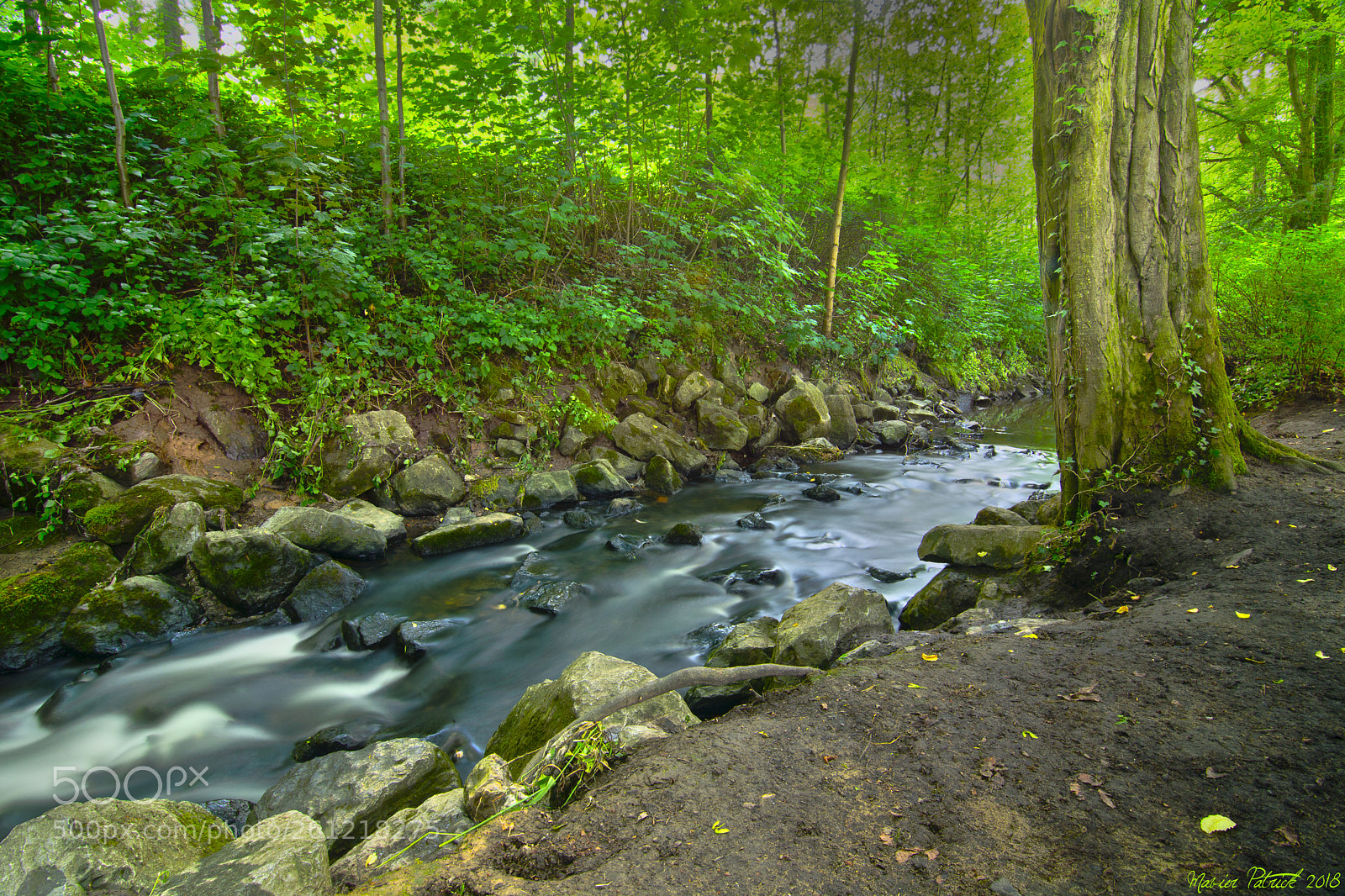 Nikon D7100 sample photo. Riviere photography