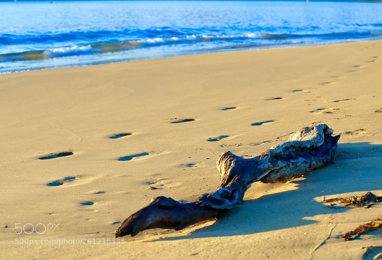 Canon EOS 6D sample photo. Untitled photography