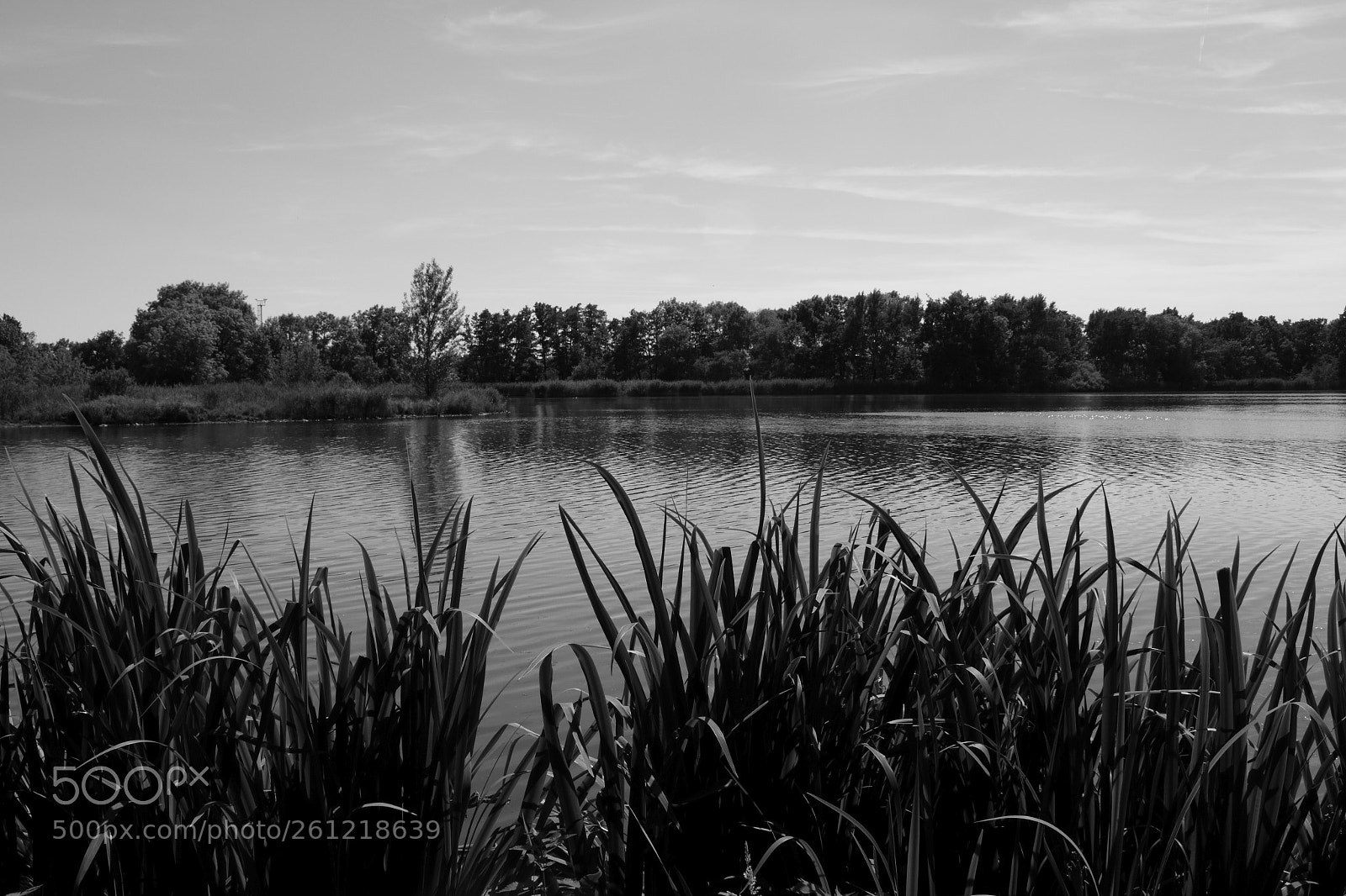 Canon EOS 700D (EOS Rebel T5i / EOS Kiss X7i) sample photo. Reflection in lake photography