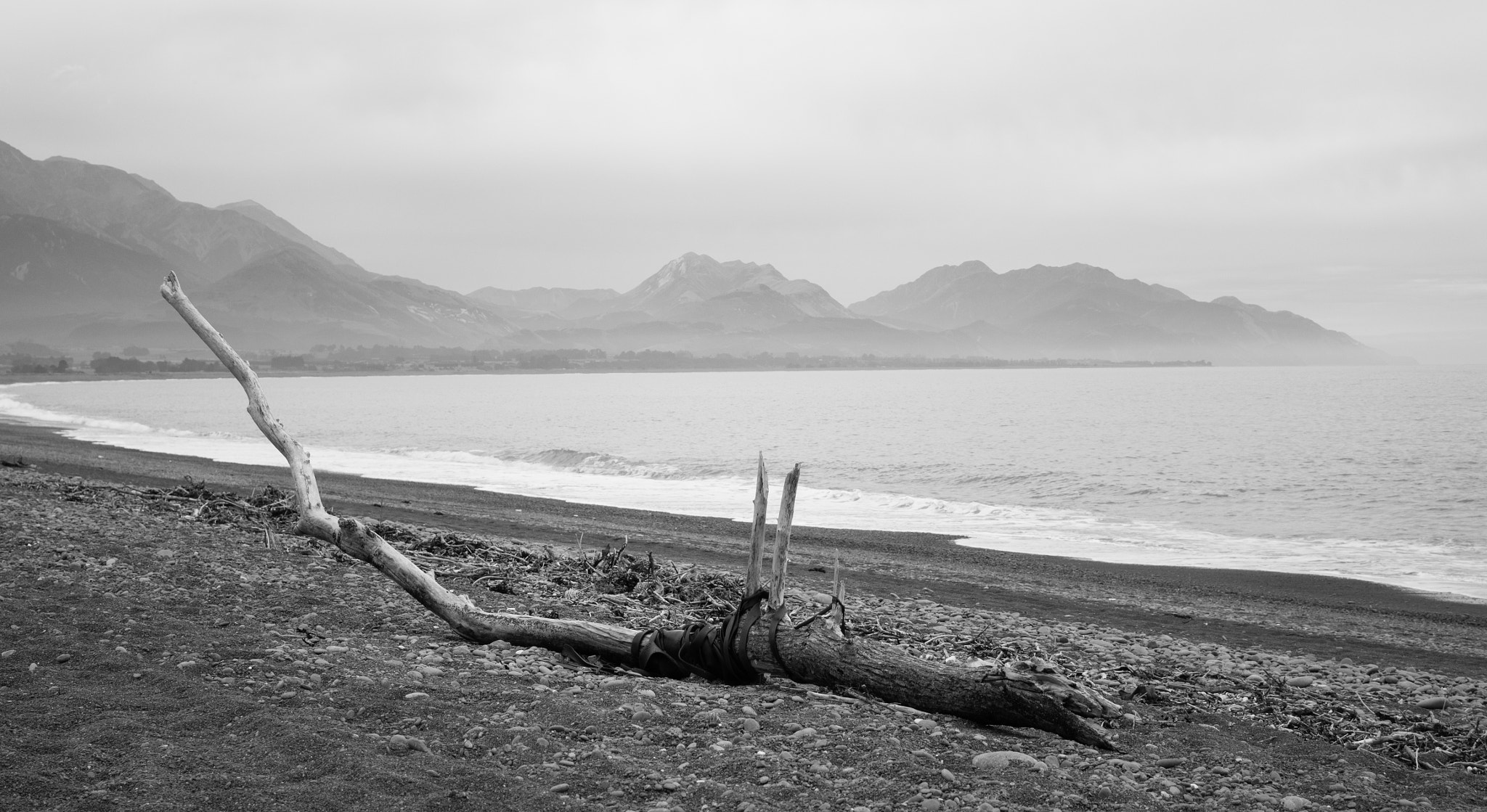 Canon EOS 600D (Rebel EOS T3i / EOS Kiss X5) sample photo. Driftwood photography