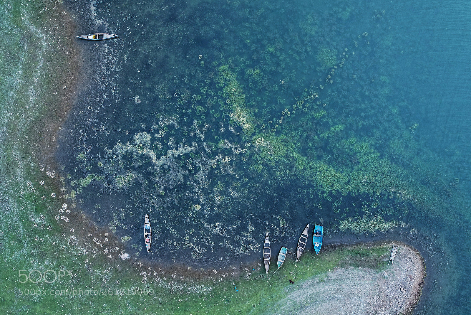 DJI FC6310 sample photo. World within world. photography