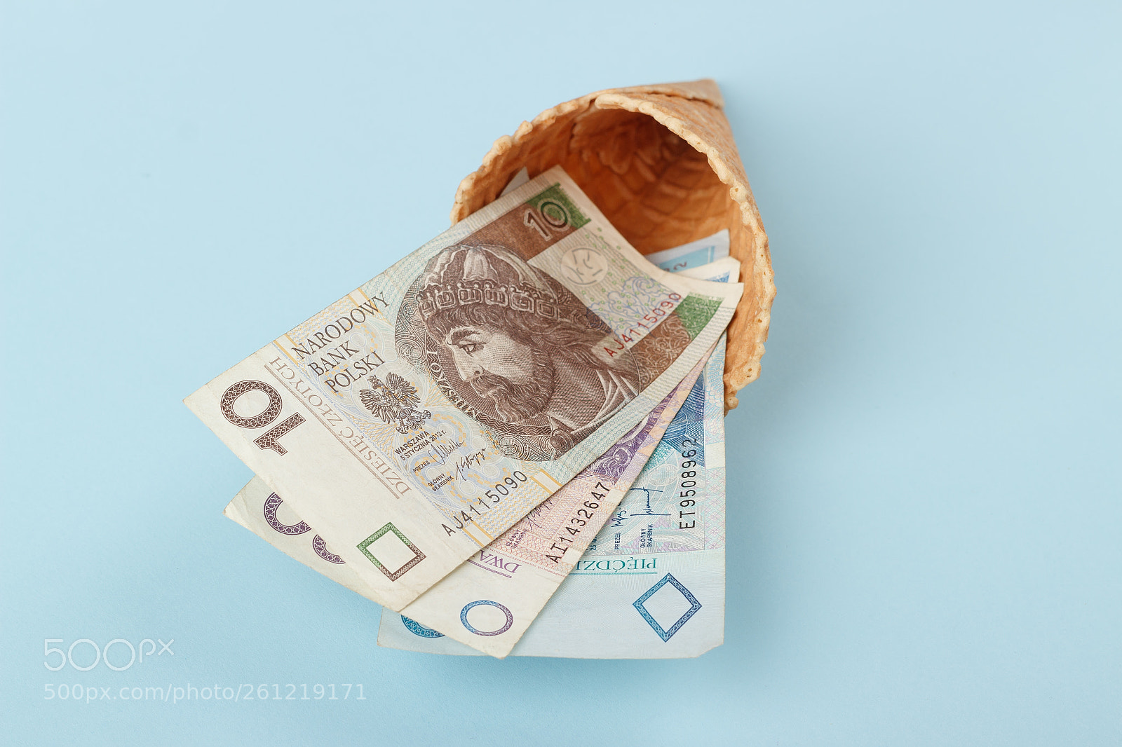 Canon EOS 600D (Rebel EOS T3i / EOS Kiss X5) sample photo. Polish zloty on a photography
