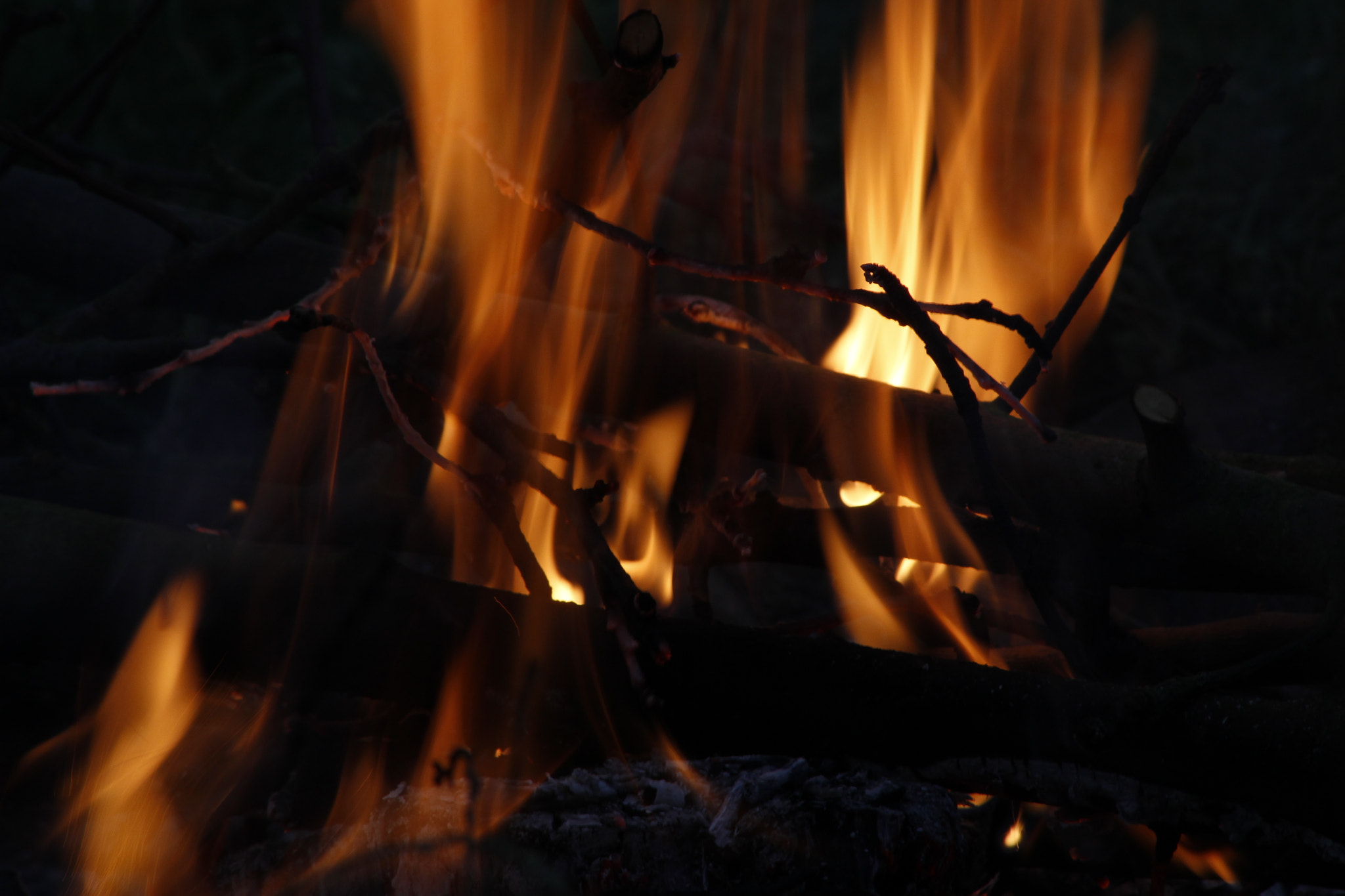 Canon EOS 700D (EOS Rebel T5i / EOS Kiss X7i) + Canon EF 75-300mm F4.0-5.6 IS USM sample photo. Fragment of fire photography