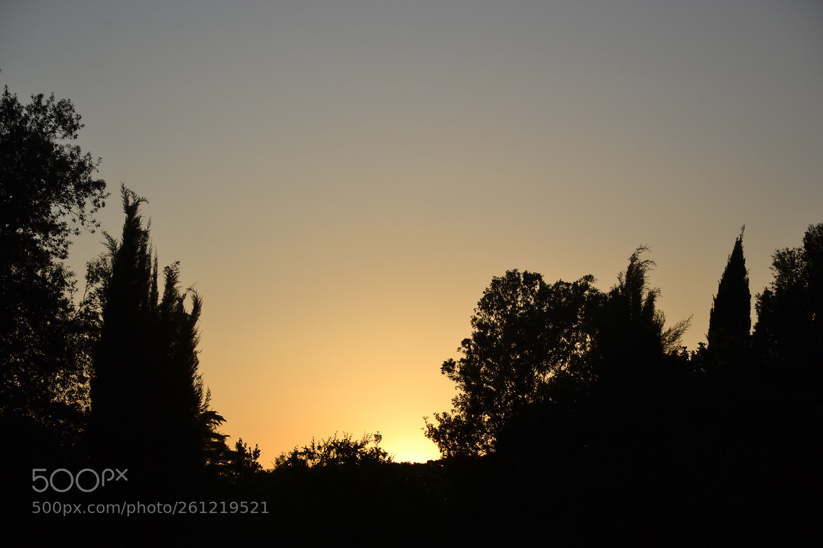 Nikon D3100 sample photo. Untitled photography